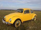 Volkswagen Beetle ,  ,  