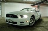  Ford Mustang  .   | FORD Mustang  ,  . 